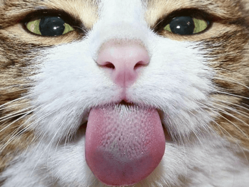 AI generated image