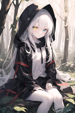 A girl with colorful eyes, heterochromatic, pale skin, long white hair with bangs, wearing a hood on her head, black leather coat, sitting on the forest floor, dim lighting linear.