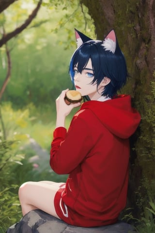 masterpiece, best quality, solo, animal ears, blue eyes,colored sclera, black hair, cat ears, multicolored hair, freckles,1boy, two-tone hair, blue hair, male focus, lips, short hair, black sclera,dressed like little red ridding hood,  in forest, short red skirt, viewed_from_behind, butt_cheeks, sitting on rock, eating mushroom