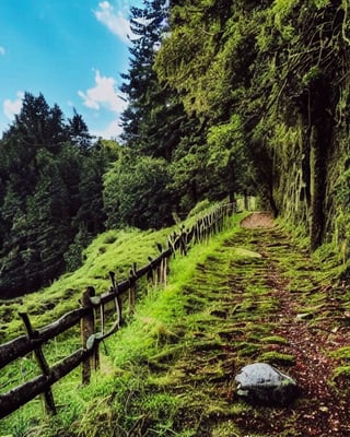 (((best quality))),single build,architecture, blue_sky, building,cloudy_sky, day, fantasy, fence, field, house, build,architecture,landscape, moss, outdoors, overgrown, path, river, road, rock, scenery, sky, sword, tower, tree, waterfall