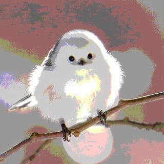 8K quality, high definition animation, ultra high definition rendering, white round bird perched on a tree branch, long-tailed tit, round black eyes, small black triangular beak
