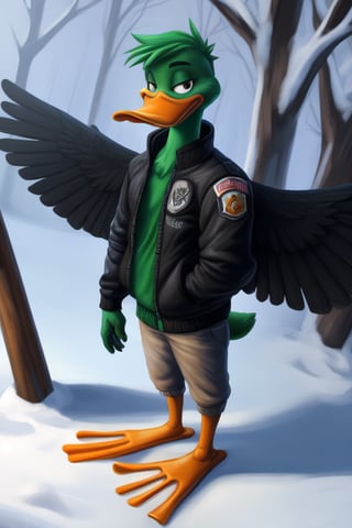 anthro duck, america_pekin, ((wings)), male, full body, portrait, bill, webbed feet, bomber jacket, winter, Dutch angle, 
