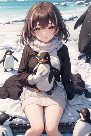 magallan,1girl,masterpiece, best quality,snow sweater,cotton gloves,scarf,looking at viewer, smile,yellow eyes,carry a penguin,sitting on snow, snow,from above