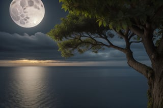 Gloomy weather showing the moon over the sea with tree leaves overlooking the side of the water