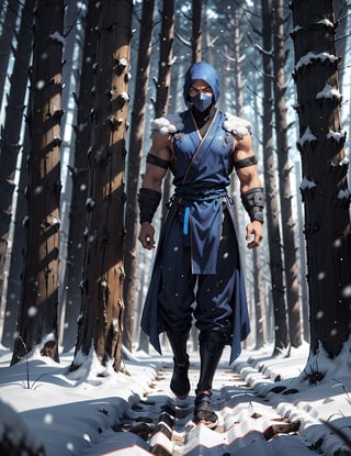 zbzr,man, ninja, blue robes, loin cloth, looking at viewer, full body shot, outside, snow, snowing, trees, night, extreme detail, masterpiece,  