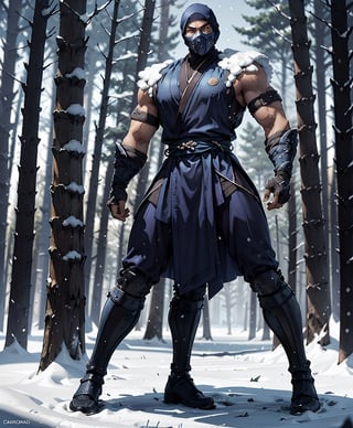 zbzr,man, ninja, blue robes, loin cloth, looking at viewer, full body shot, outside, snow, snowing, trees, night, extreme detail, masterpiece,  