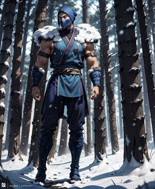 zbzr,man, ninja, blue robes, loin cloth, looking at viewer, full body shot, outside, snow, snowing, trees, night, extreme detail, masterpiece,  