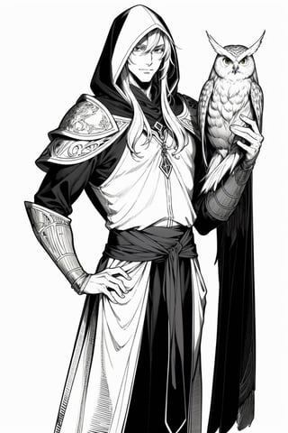 anime style, handsome male elf, long hair, very tall, elven hood down, neutral face, wearing leather shoulder armor in one shoulder. monochrome, white background, tolkien elf, holding an owl on his forearm, monochrome