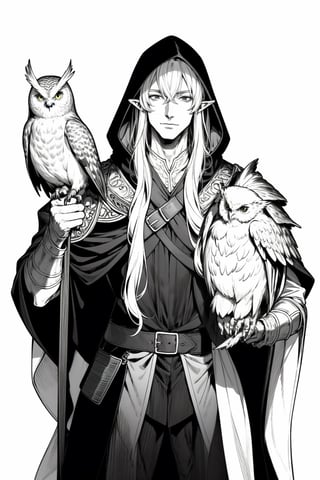 anime style, handsome male elf, long hair, very tall, elven hood down, neutral face, wearing leather shoulder armor in one shoulder. monochrome, white background, tolkien elf, holding an owl on his shoulder as falconer, monochrome