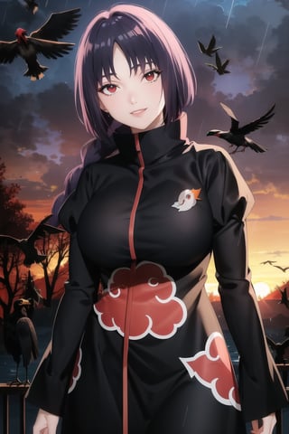anime, hdr, soft light, ((best quality)), ((masterpiece)), (detailed),  sumire kakei, single braid, purple hair, ((red eyes:1.2)), makeup, head tilt, smile, (lips), (akatsuki outfit:1.1), (puffy_sleeves:1.2), ((juliet_sleeves)),large breast,  high_collar, collarbone, black dress, long sleeves, looking at viewer, village, (((crows))),sunset, rain, water drop, cloud, nature, ,akatsuki outfit, bird, crow, eagle, black feathers, sunset, orange sky, outdoors, fantasy00d,