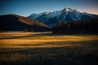 An ultra-realistic cinematic photograph of wildlife meadow as a winter scenery, exquisite detail, 30-megapixel, 8k, 85-mm-lens, sharp-focus, intricately-detailed, long exposure time, f/8, ISO 100, shutter-speed 1/125, diffuse-back-lighting, award-winning photograph, monovisions, elle, small-catchlight, low-contrast, high-sharpness, depth-of-field, golden-hour, ultra-detailed photography, Chromatic aberration lens, Shallow depth of field, HDR