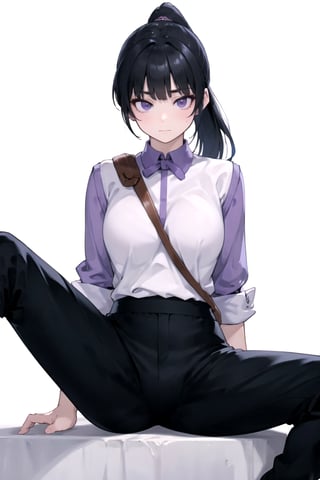 //Quality,
masterpiece, best quality
,//Character,
1girl, solo
,//Fashion, 
,//Background,
white_background
,//Others,
,spread legs, 
,FighterGS, 1girl, solo, long hair, black hair, purple eyes, ponytail, shirt, black pants