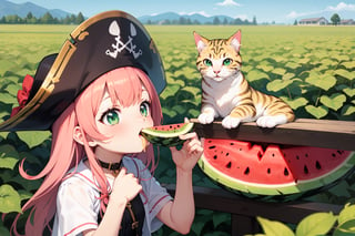 a cream-colored cat wearing a pirate hat with a pink nose and emerald eyes is eating a piece of watermelon in a watermelon field