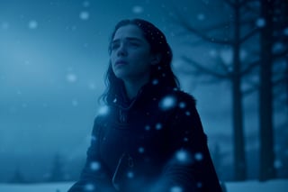 Masterpiece, Best quality, (1girl), (best quality), (masterpiece), (high resolution), (intricate details), (photorealistic), (cinematic light), busty, with a her sword at her hands, sitting on a stone in the middle of a winter forest, look into the distance, snowy wild forest, It's cold, it's snowing, beautiful face and slim body, ((steam from the mouth)), a deep look, thick fog, photorealism, photographic appearance, RAW style.,Snow,Game of Thrones,<lora:659111690174031528:1.0>