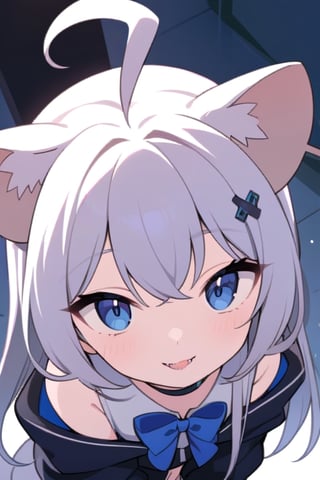 masterpiece, best quality, laplace, 1girl, solo,  ((white hair)), very long hair, blue eyes, (straight hair), (bangs), animal ears, (stoat ears:1.2), Choker, ahoge, fangs, (big stoat Tail:1.2), (blue X hairpin), (White sleeveless collared dress, (midriff), blue chest bow), (black hooded oversized jacket:1.2), (jacket zipper half unzipped), (Off the shoulders), lolita, smile, leaning forward, city street, close-up , from above, look up,yaeba,anime,light,detail,atmosphere,portraitart,Visual_Illustration