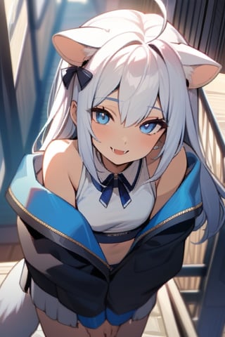 masterpiece, best quality, laplace, 1girl, solo,  ((white hair)), very long hair, blue eyes, (straight hair), (bangs), animal ears, (stoat ears:1.2), Choker, ahoge, fangs, (big stoat Tail:1.2), (blue X hairpin), (White sleeveless collared dress, (midriff), blue chest bow), (black hooded oversized jacket:1.2), (jacket zipper half unzipped), (Off the shoulders), lolita, smile, leaning forward, city street, close-up , from above, look up, anime,light,detail,atmosphere,portraitart,Visual_Illustration,portrait art style