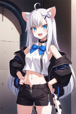 1girl, stoat girl, solo,  ((white hair)), very long hair, blue eyes, (straight hair), (bangs), animal ears, (stoat ears:1.2),
 Choker, ahoge, fangs, (big stoat Tail:1.2), (blue X hairpin), (White collared sleeveless top, (midriff), blue chest bow), 
(black hooded oversized jacket:1.2), (jacket zipper half unzipped), (black short pants) (Off the shoulders), hand on hip,anime,cg,