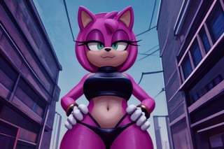 stylised fantasy sketch, watercolor), background - a futuristic cityscape with skyscrapers and flying cars, fullbody, a AmyRose standing with her hands on her hips, looming over viewer, behind her is a holographic billboard of herself, AmyRose, sophisticated, menacing look, looking at viewer), low camera angle, dynamic lighting, fluffy fur, detailed hair, atmospheric,More Detail,AmyRose,<lora:659111690174031528:1.0>
