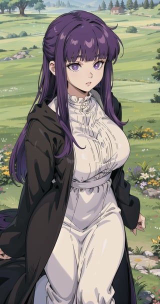 aafern, long hair, purple hair, blunt bangs, purple eyes, large breasts, long dress, white dress, black robe, long sleeves, green grass field, 