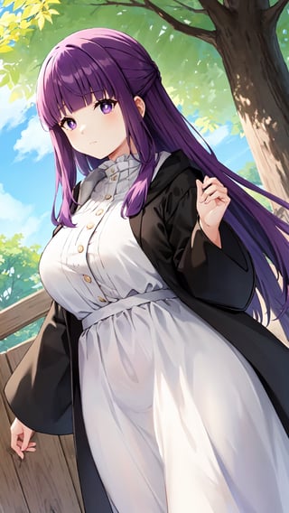 <Fern>
(1girl, solo, purple hair, long hair, purple eyes, blunt bangs, sidelocks, bright pupils),

<Clothes>
(frilled collar, black robe, black coat, white dress, center frills, buttons, wide sleeves, long sleeves, curvy, cowboy shot), 

<Scenery>
(outdoor),

<Pose>
(average breasts, looking at viewer),fern,aafern