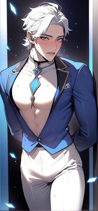 {{{ NSFW , HENTAI, Drool Sweat Nudity masterpiece, ultra-detailed, intricate details, best quality }}}, 1boy , 1man , handsome , Anime VTuber style character Genshin Impact aesthetics, designed Magpie Teacher.  magic academy teacher with deep blue color themes.  white hair, dressed in a sophisticated, magical academy teacher's outfit that incorporates deep blue , white no background ,standing pose,1guy,niji5,Reality Quest style