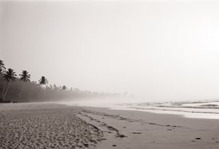 B & W photo. lith_argenta_bromBN1W, a foggy beach in sri lanka, hard shadow
