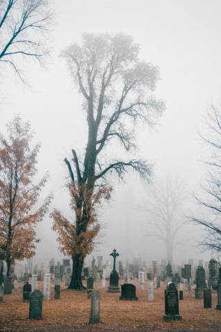 A vintage grain picture of a dead tree in the center of an evil cemetery, spirits, foggy, eerie