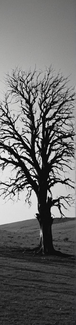 {{{masterpiece}}}, best quality, {{top quality}}, black vector by ansel adams image of a dead tree in a graveyard, nankin drawing of a dead tree (multiple dead branches), Use only black color to convey melancholy, vector