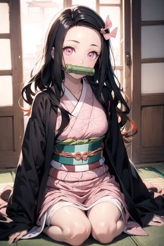 nezuko kamado, bamboo, bit gag, black hair, forehead, gag, gagged, hair ribbon, long hair, multicolored hair, (pink eyes:1.5), orange hair, slit pupils, wavy hair, two-tone hair, asa no ha (pattern), checkered sash, haori, japanese clothes, kimono, long sleeves, obi, pink kimono, sash, wariza,  wide sleeves, generate an image showing nezuko in a dojo while posing dynamically, photo of perfecteyes eyes, background,nezuko,photo of perfecteyes eyes