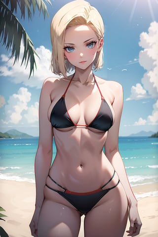 Bikini Android 18,and18 