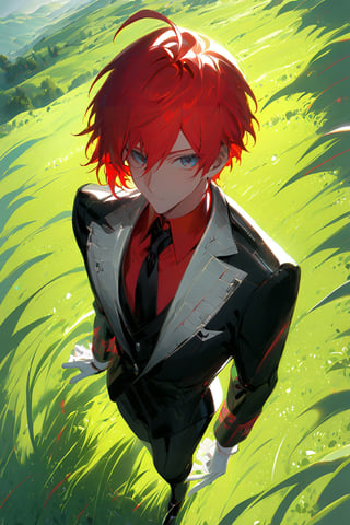 1 boy, alone, short hair, red hair, pixie cut, bangs, ahoge, gray eyes, expressionless, black suit, black tie, black jacket, white vest, red shirt, black pants, white gloves, decorated clothes, perfect light, hills, green grass,niji5, from above