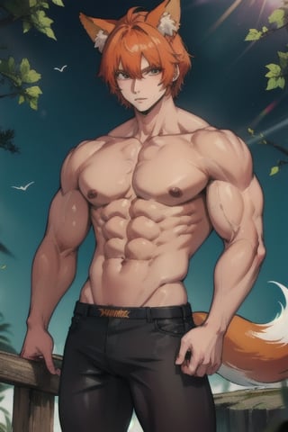 muscle , beautiful ,Fox boy