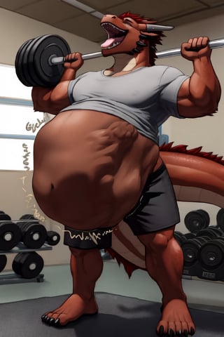 Male Muscular Dark brown dragon, (( wearing a gray t-shirt and black shorts)), at a gym,  (vore belly),  (lifting weights) , (Endo vore) (dark Brown belly) (belching) 