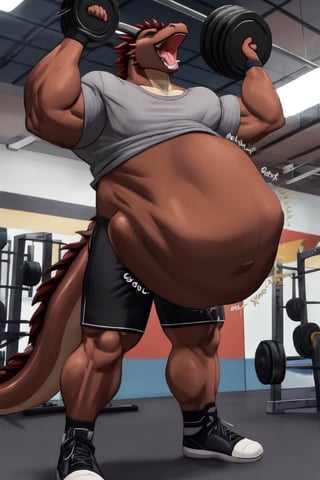 Male Muscular Dark brown dragon, (( wearing a gray t-shirt and black shorts)), at a gym,  (vore belly),  (lifting weights) , (Endo vore) (dark Brown belly) (belching) 
