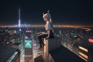 1 girl perched on a futuristic rooftop, gazing at a holographic city skyline, solitude, reflection, cityscape, futurism, contemplation, rooftop lair, wide-angle lens, twilight, 24mm focal distance, cyberpunk landscape, by SilverWhiskers, tohru (maidragon)