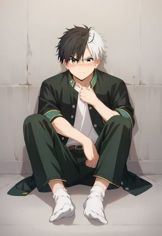 score_9, score_8_up, score_7_up, masterpiece, best quality, solo, cute, male focus,Sakura Haruka, split-color hair, black hair, white hair, split-color eyebrow, heterochromia, blush, angry, socks,full body, pants, relaxing