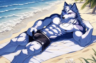 good_anatomy solo, long hair, animal ears, wolf_ears, purple eyes,tail, white hair, male focus,wolf_tail, muscular,furry, furry male, white fur, wolf boy, full_body,purple_boxer_shorts,Beautiful Beach, lying in the sand, bulge,underwear_bulge