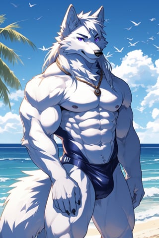 good_anatomy solo, long hair, animal ears, wolf_ears, purple eyes,tail, white hair, male focus,wolf_tail,cowboy shot,t, muscular, formal, ,furry, furry male, white fur, wolf boy, full_body, wearing_purple_swimsuit,Beautiful Beach