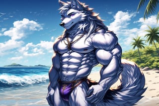 good_anatomy solo, long hair, animal ears, wolf_ears, purple eyes,tail, white hair, male focus,wolf_tail,cowboy shot,t, muscular, formal, ,furry, furry male, white fur, wolf boy, full_body, wearing_purple_swimsuit,Beautiful Beach