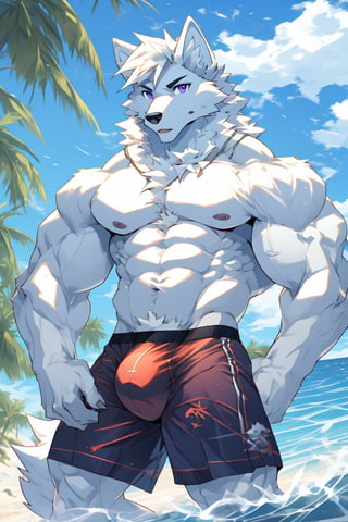 good_anatomy solo, long hair, animal ears, wolf_ears, purple eyes,tail, white hair, male focus,wolf_tail, muscular,furry, furry male, white fur, wolf boy, full_body,purple_boxer_shorts,Beautiful Beach, stading, bulge,underwear_bulge, fantasy, waves