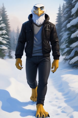 anthro eagle, male, full body, portrait, plantigrade legs, yellow talons, wide spread claws, bomber jacket,pants, barefoot, winter, one leg up, walking towards viewer