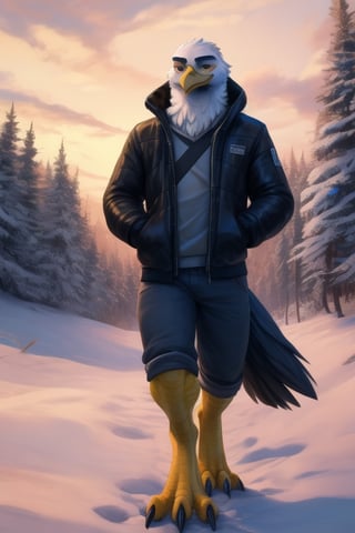 anthro eagle, male, full body, back,portrait,winter, bomber jacket, walking away from viewer,one leg raised, barefoot, talons,three toes on the front of the foot, one toe on the heel of the foot, feet visible, plantigrade legs, yellow talons,black claws, yellow legs, wide spread claws, 