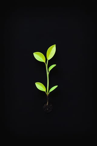 instagramm blank lightblack backround with one little seedling on the ground at the bottom of the picture, with a thin neon frame for quotes. 