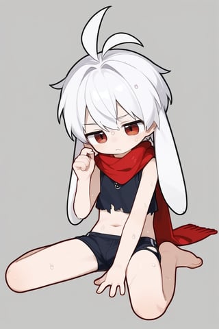 solo,male,shota,lop_boy,long ear,white ear,white hair,red eyes,BREAK,
red scarf, torn_clothing,BREAK,
crop_top,sockjob,
sit,m_legs,wet,sweating profusely,
score_9,score_8_up,score_7_up,score_6_up,score_5_up,score_4_up,masterpiece,chibi