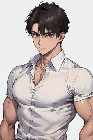 masterpiece, best quality, boy, solo, male, shirt, muscles