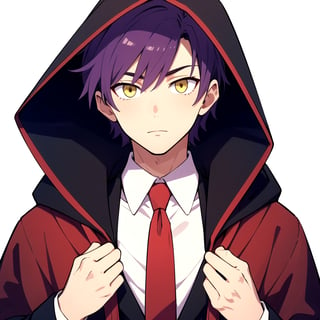 masterpiece, best quality, aesthetic, white background, solo, light yellow eyes, dark purple hair, 1boy, male focus, necktie, hood, night, red necktie