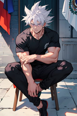 Highly detailed, High Quality, Masterpiece, beautiful,Goku with Mexico flag, silver hair,light purple eyes , black pants, black t-shirt, sitting on a chair