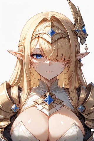 score_9,score_8_up,score_7_up,female solo,source_anime,anime,1girl,beautiful girl,shaped face,elf_ears,blond_hair,bangs,armor,helmet,(helmet over face:1.4),(covered_eyes:1.4),Expressiveh,concept art