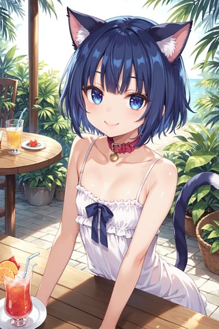 masterpiece, best quality, ultra-detailed, score_9, score_8_up, score_7_up, 
focus on face,

(one girl), 

shiny dark blue hair, shiny dark blue cat ears ,  short bob hair, dark blue medium hair, shiny dark blue hairs ,blue eyes,

, kannakamui, emo, Claudia, , (((flat chest))), No public hair, extremely pretty face, beautiful face, ultra-detaild face, cute and round face, ultra-detailed eyes, round eyes, rubby eyes, droopy eyes , 

beautiful and delicate and ultra-detailed finger, 

(((very young Petite girl))), skinny,

((nekomimi)),Cat ears the same color as her hair, cat collar,

summer, in the lakeside, outdoor, resort,
 in  the open cafe, sit at a table, tabe center on one tropical juice, two straws,

white Summer-like camisole dress , colored lace line ribbon, lots of lace, shyness, smile, happy,

cat tail,
