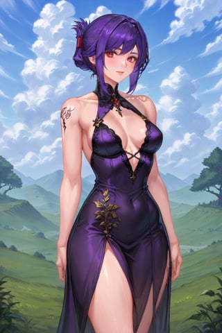 score_9, score_8_up, score_7_up, beatyfull color, aesthetic,

1girl, solo, sexy dress, cleavege, 

sabia, human, purple hair, red eyes, folded ponytail, tattoo on left shoulder, 

kingdom of deception, nature, clouds, sky,